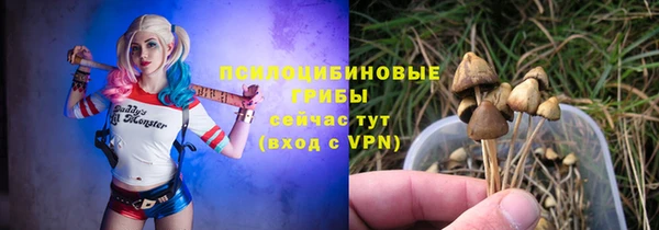 соль ск Верхний Тагил