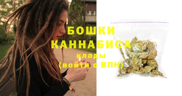 соль ск Верхний Тагил
