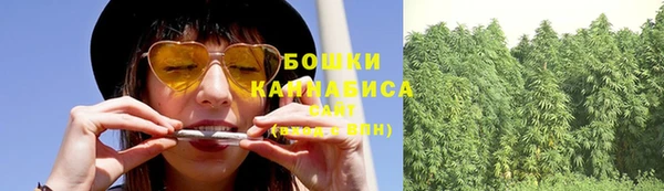 гашик Богородицк