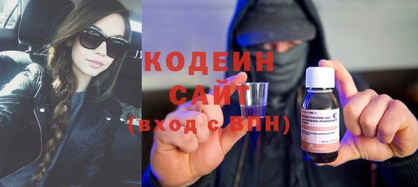 индика Верея