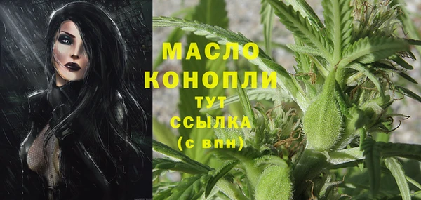 соль ск Верхний Тагил