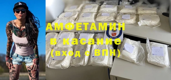 индика Верея