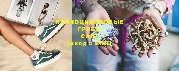 индика Верея