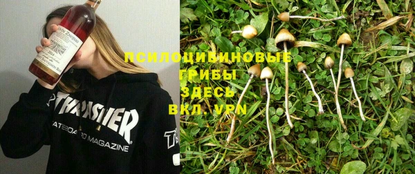 индика Верея